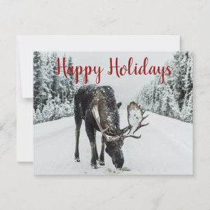 Cartes Pour Fêtes Annuelles Oie En Neige En Hiver