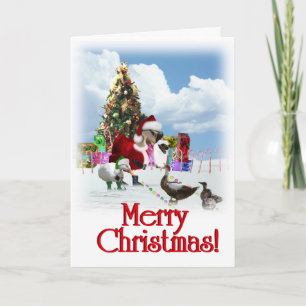 Cartes Pour Fêtes Annuelles Oie Et Canards Père Noël De Noël