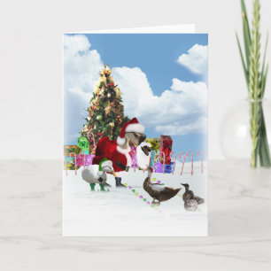 Cartes Pour Fêtes Annuelles Oie Et Canards Père Noël De Noël