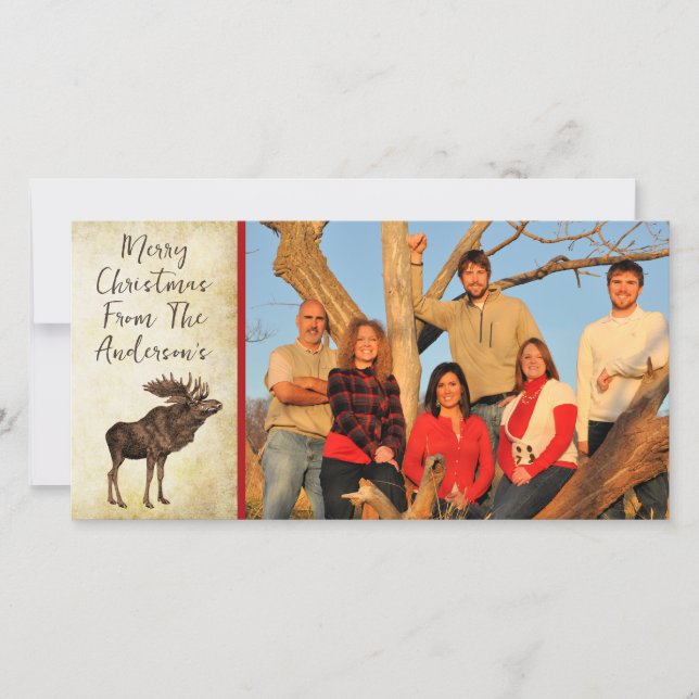 Cartes Pour Fêtes Annuelles Oie et flocon de neige Joyeux Noël (Devant)