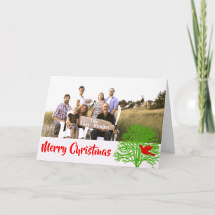 Cartes Pour Fêtes Annuelles Oiseau de Noël -