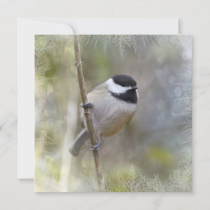 Cartes Pour Fêtes Annuelles Oiseau d'hiver de branches de cèdre de Chickadee