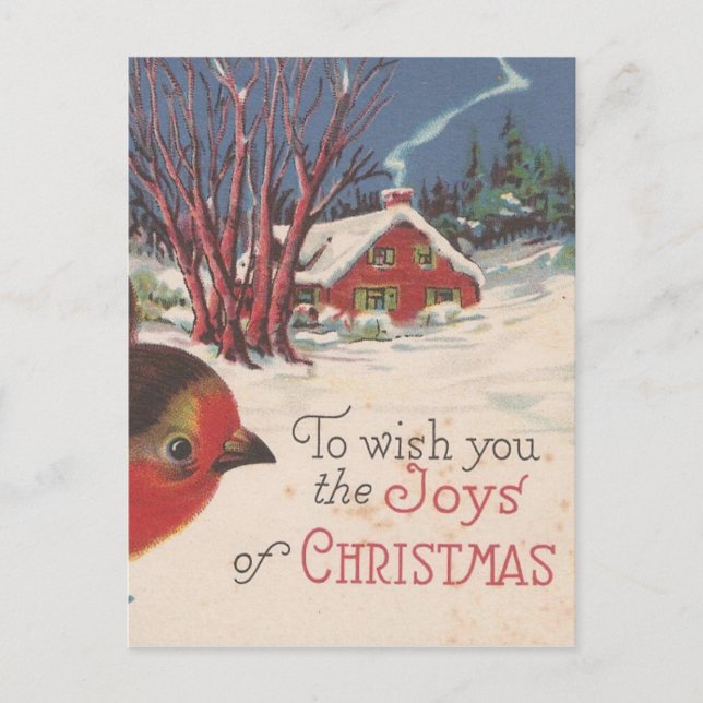 Cartes Pour Fêtes Annuelles Oiseau d'hiver de Noël Vintage (Devant)