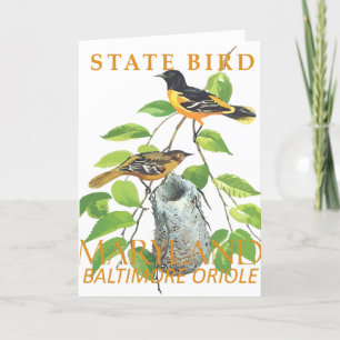 Cartes Pour Fêtes Annuelles Oiseau du Maryland L'Icterus galbula