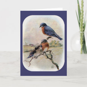 Cartes Pour Fêtes Annuelles Oiseaux bleus orientaux avec l'oiseau de bébé