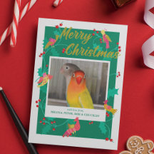 Oiseaux d'art populaire, Noël sur mesure avec phot