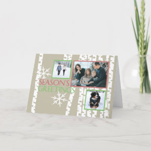 Cartes Pour Fêtes Annuelles Oiseaux de Noël Photo
