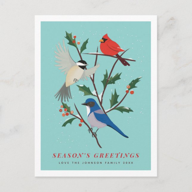 Cartes Pour Fêtes Annuelles Oiseaux d'hiver illustrés (Devant)