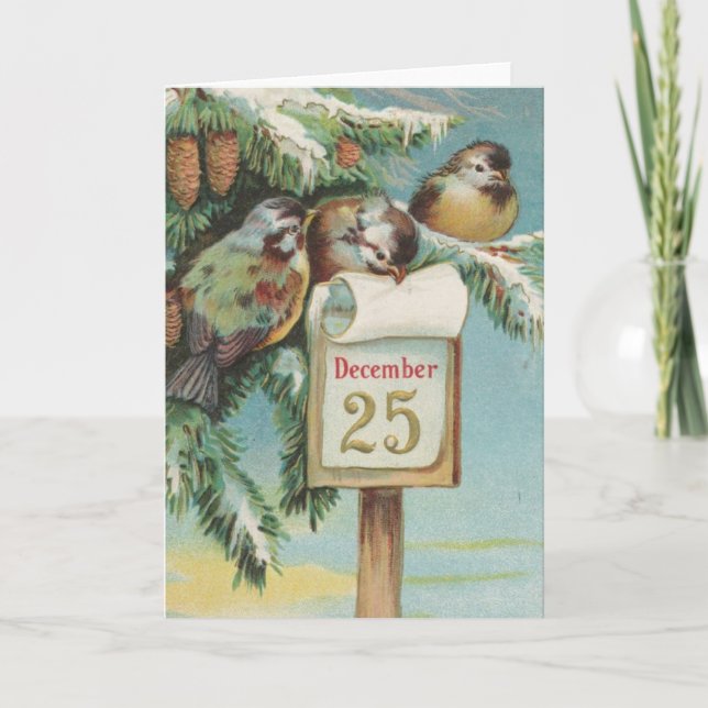 Cartes Pour Fêtes Annuelles Oiseaux le 25 décembre (Devant)