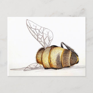 Cartes Pour Fêtes Annuelles On s'en fiche ?