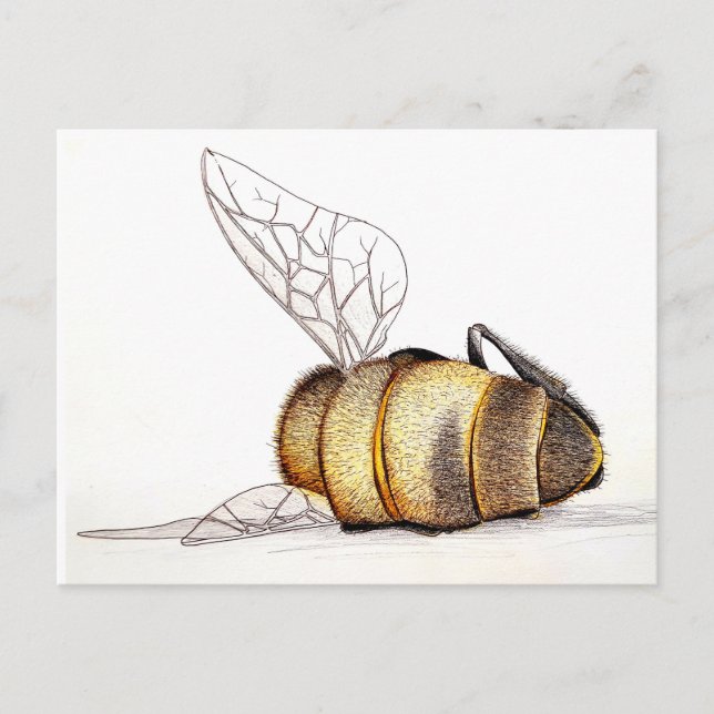 Cartes Pour Fêtes Annuelles On s'en fiche ? (Devant)