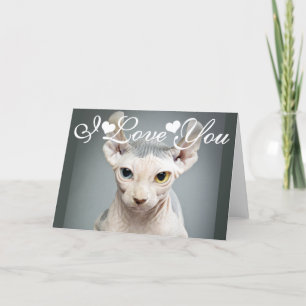 Cartes Pour Fêtes Annuelles Onze Sphinx Cat Photo Image I Love You