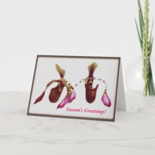 Cartes Pour Fêtes Annuelles Orchidée de fleur de Noël (Devant)