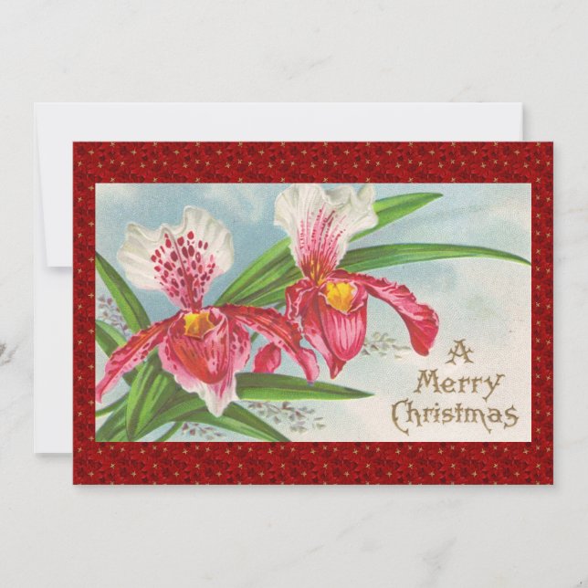 Cartes Pour Fêtes Annuelles Orchidées de Noël (Devant)