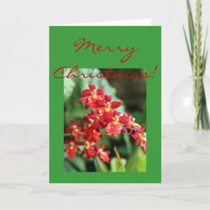 Cartes Pour Fêtes Annuelles Orchidées rouges