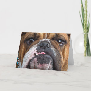 Cartes Pour Fêtes Annuelles Oreillers à lancer de Bulldog anglais