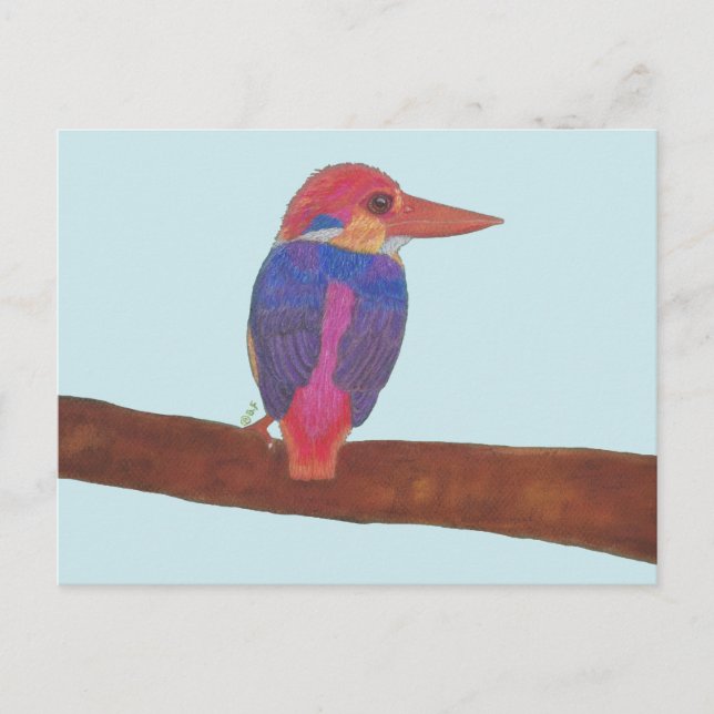 CARTES POUR FÊTES ANNUELLES ORIENTAL DWARF KINGFISHER (Devant)