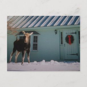 CARTES POUR FÊTES ANNUELLES ORIGNAUX DE NOËL