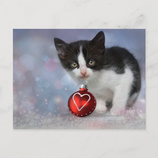 Cartes Pour Fêtes Annuelles Ornement de coeur de Noël Kitten (Devant)