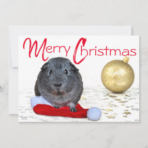 Cartes Pour Fêtes Annuelles Ornement doré de Noël adorable cochon d'Inde