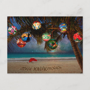Cartes Pour Fêtes Annuelles Ornements de Noël tropicaux
