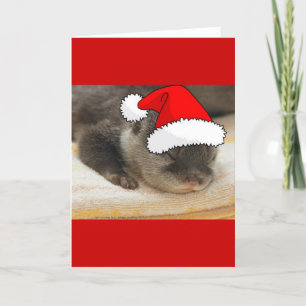 Cartes Pour Fêtes Annuelles Otter de Noël