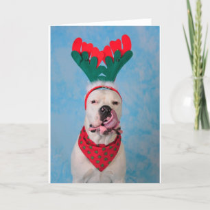 Cartes Pour Fêtes Annuelles Où est mon lait de poule ?