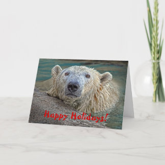 Cartes Pour Fêtes Annuelles Ours blanc bonnes fêtes !