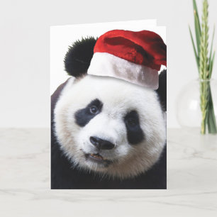 Cartes Pour Fêtes Annuelles Ours de panda Noël