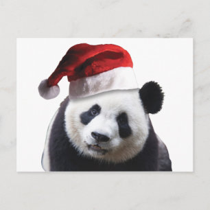 Cartes Pour Fêtes Annuelles Ours de panda Noël