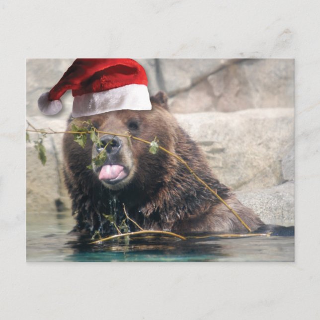 Cartes Pour Fêtes Annuelles Ours grizzli avec chapeau de Père Noël (Devant)