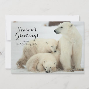 Cartes Pour Fêtes Annuelles Ours Polaire Avec Cubs