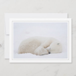 Cartes Pour Fêtes Annuelles Ours polaire dormant
