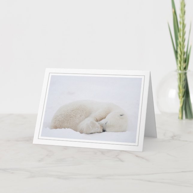 Cartes Pour Fêtes Annuelles Ours polaire dormant (Devant)