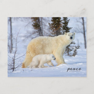 Cartes Pour Fêtes Annuelles Ours polaire Mère et Cub sur la toundra