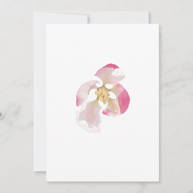 Cartes Pour Fêtes Annuelles Ouverture de la floraison Apple (Devant)