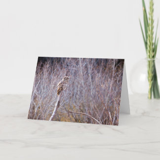 Cartes Pour Fêtes Annuelles Owl vous souhaite des Joyeuses Fêtes