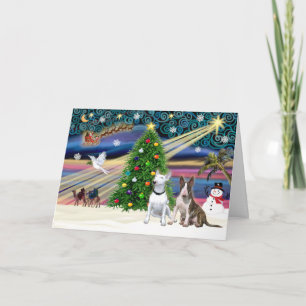 Cartes Pour Fêtes Annuelles Pair de la magie de Noël