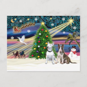 Cartes Pour Fêtes Annuelles Paire de Bull Terrier de magie de Noël
