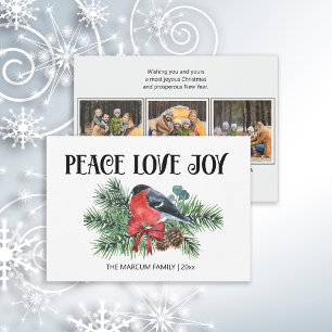 Cartes Pour Fêtes Annuelles Paix Amour Joie Noël Vacances Branche de Pin Robin