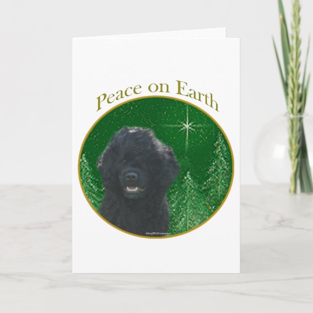Cartes Pour Fêtes Annuelles Paix des chiens d'eau portugais (Devant)