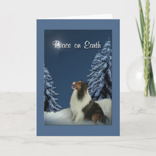 Cartes Pour Fêtes Annuelles Paix Sheltie