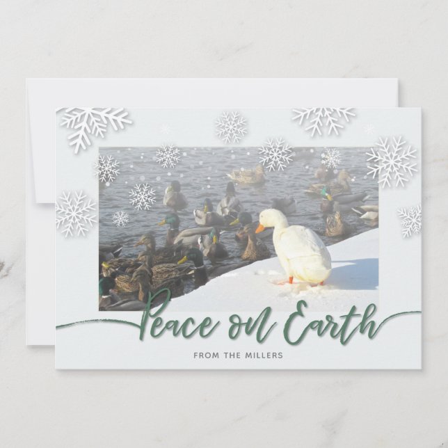 Cartes Pour Fêtes Annuelles Paix sur Terre (Devant)