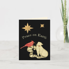 Cartes Pour Fêtes Annuelles Paix sur Terre Noël Chat et oiseau