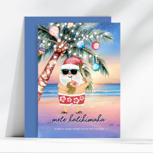 Cartes Pour Fêtes Annuelles Palmier tropical de plage Père Noël Noël