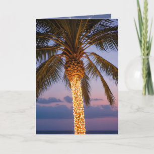 Cartes Pour Fêtes Annuelles Palmiers De Noël Avec Lumières