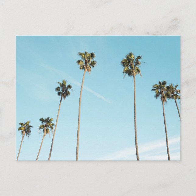 Cartes Pour Fêtes Annuelles Palmiers hauts Ciel bleu clair (Devant)