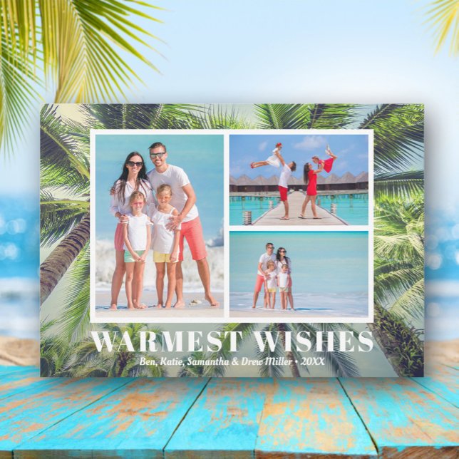 Cartes Pour Fêtes Annuelles Palmiers tropicaux Photo de Noël (Créateur téléchargé)