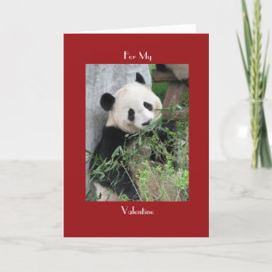 Cartes Pour Fêtes Annuelles Panda géant Saint Valentin Câble rouge et câlins