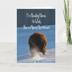 Cartes Pour Fêtes Annuelles Pandi En Tête de chez vous pour vous souhaiter un 
